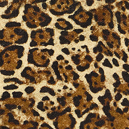 Isabel Marant Wilda Sweatshirt In Leopard