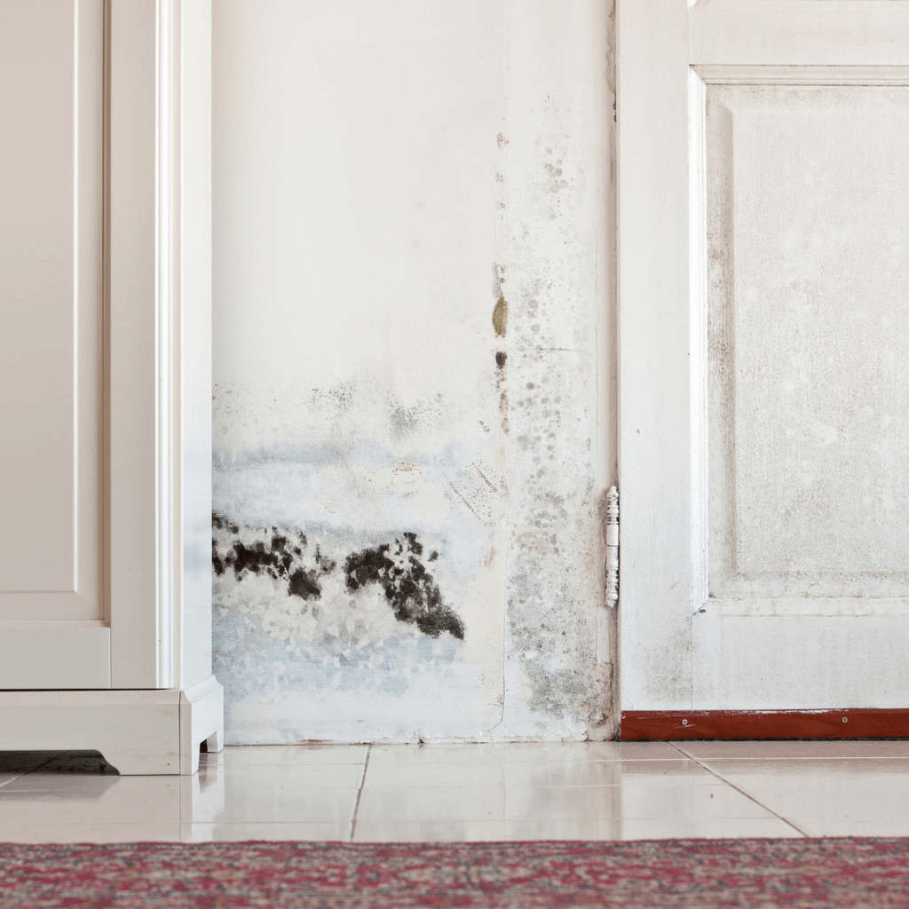 signs of mold and mildew on doors