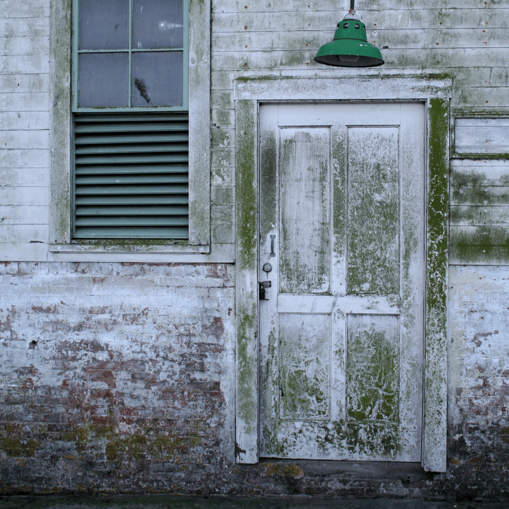 mildew and mold on exterior door