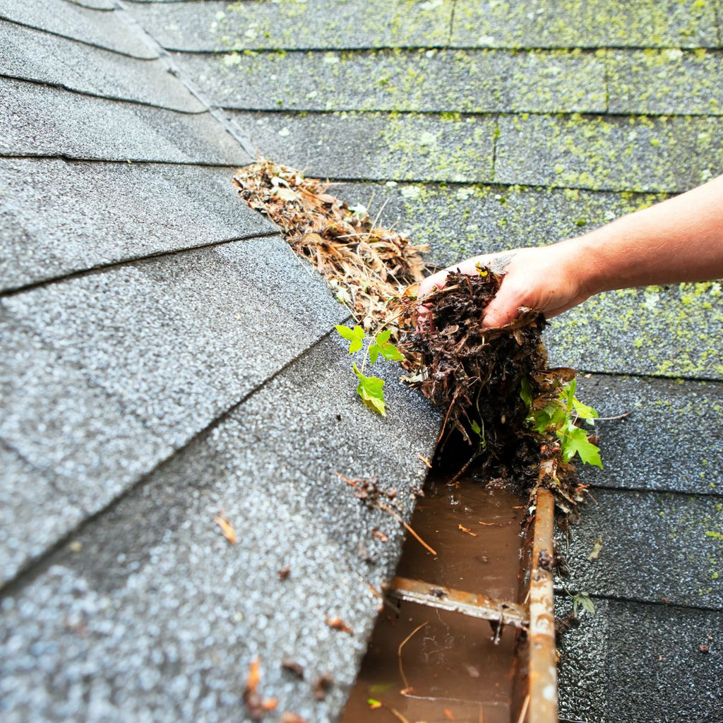 gutter cleaning