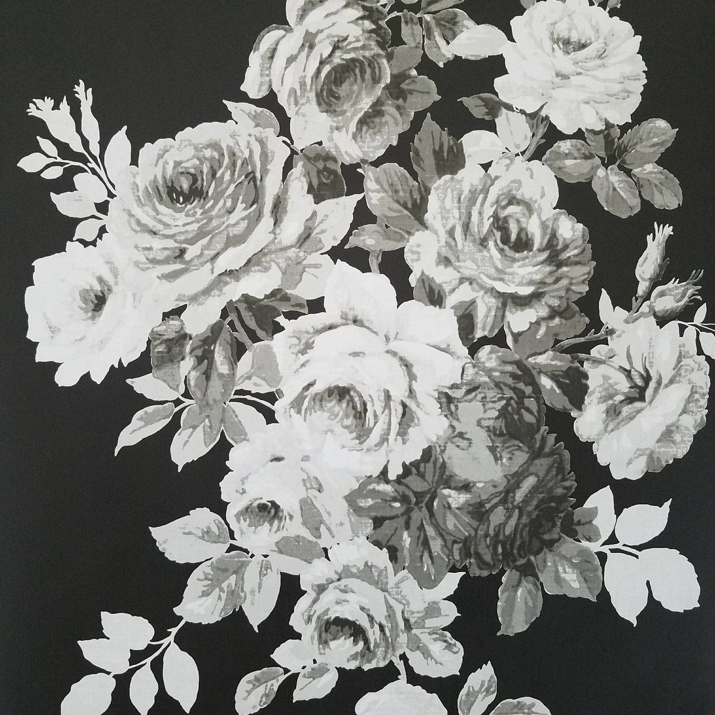 Magnolia Home Tea Rose Black  and White  Floral  Wallpaper  