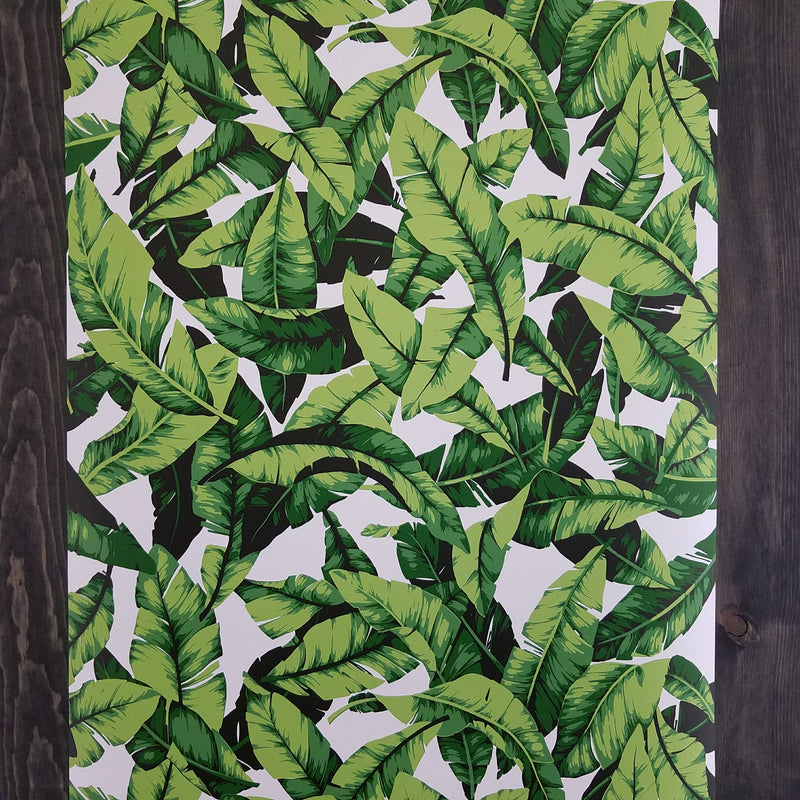 Palm Leaf Botanical Peel and Stick Wallpaper | RMK11045WP – D. Marie