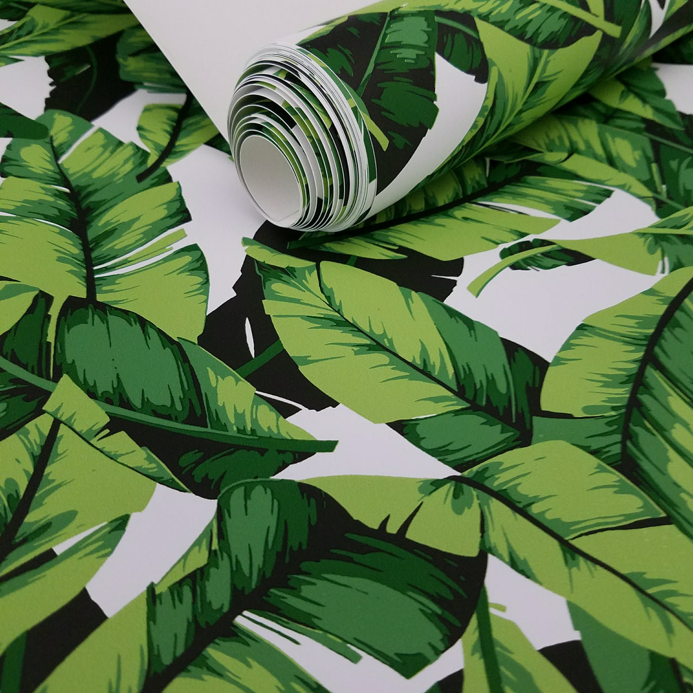 Palm Leaf Botanical Peel and Stick Wallpaper | RMK11045WP – D. Marie