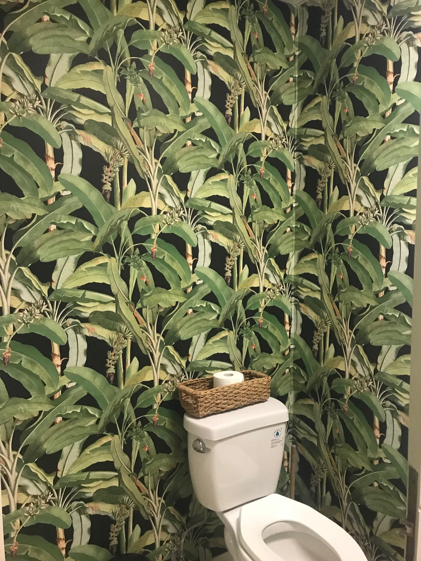Tropical Banana Leaf Wallpaper – D. Marie Interiors
