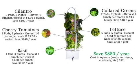 How you can save money and eat better food with an indoor garden