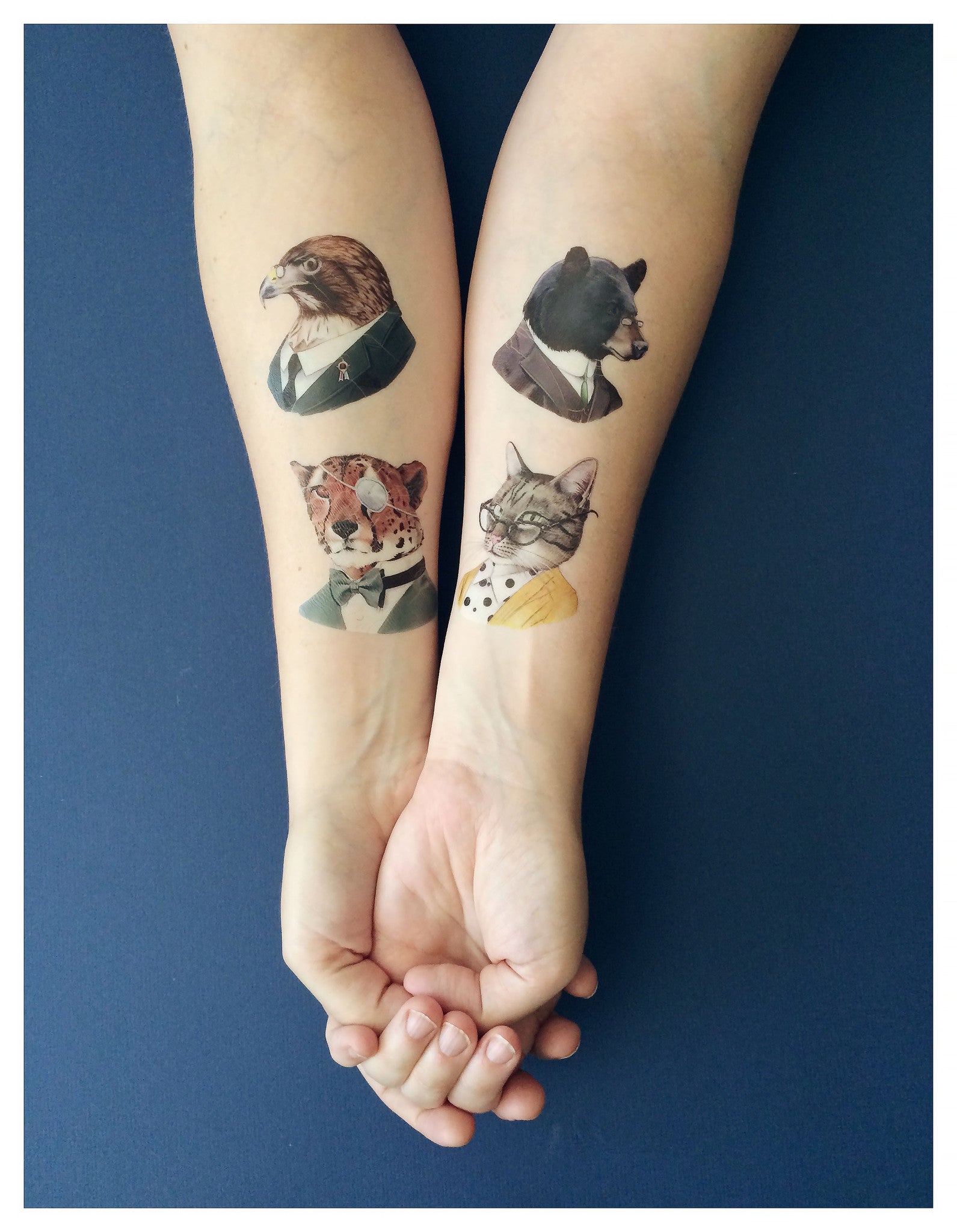 Tattooing Sphynx Hairless Cats Is Cruel  PetHelpful