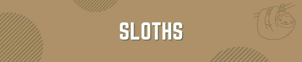 Sloth toys, sloth stuffed animals, and other sloth products.
