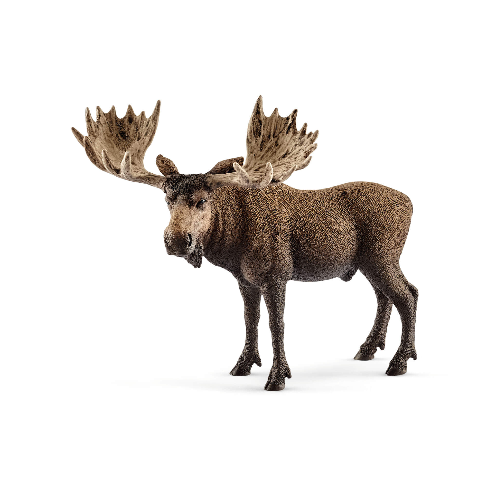 Schleich Wild Life Moose Calf (42629)