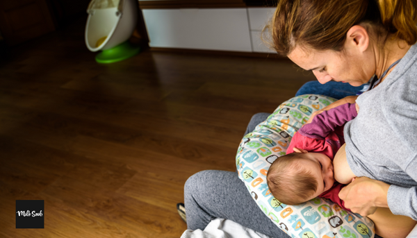 Milk Snob New Moms Checklist Nursing Pillow