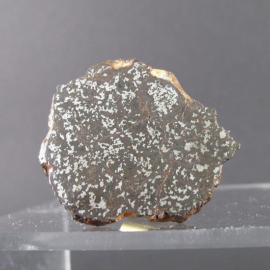 stony iron meteorite