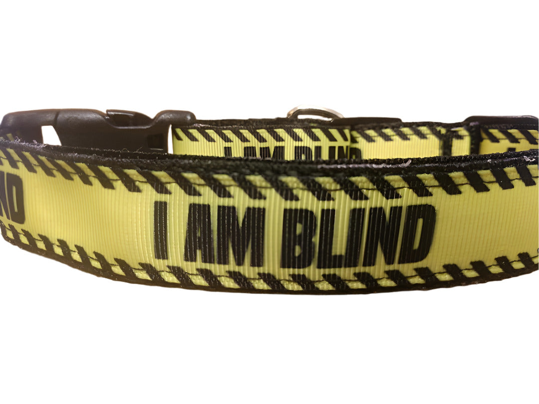 Collar and Leash Combo/ Large/ Blind