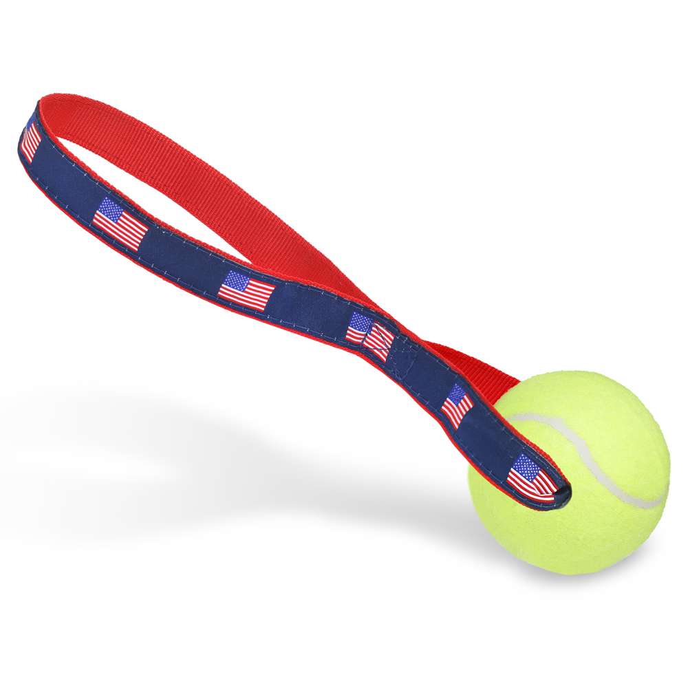 American Flag - Tennis Ball Toss Toy