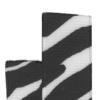Zebra Stripes.png__PID:b1b1238a-2b21-40dd-86d1-4815f3edd506