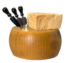 Parmigiano Reggiano Nutrition