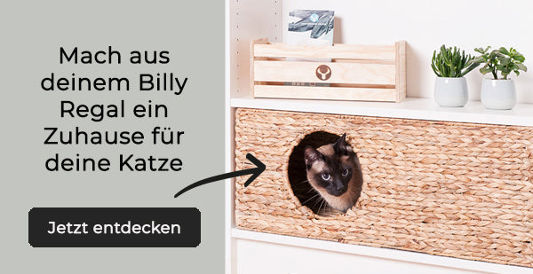 Katzenkorb-fuer-Billy-Regal