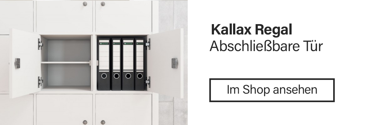 kallax-regal-einsatz-tuer-abschliessbar