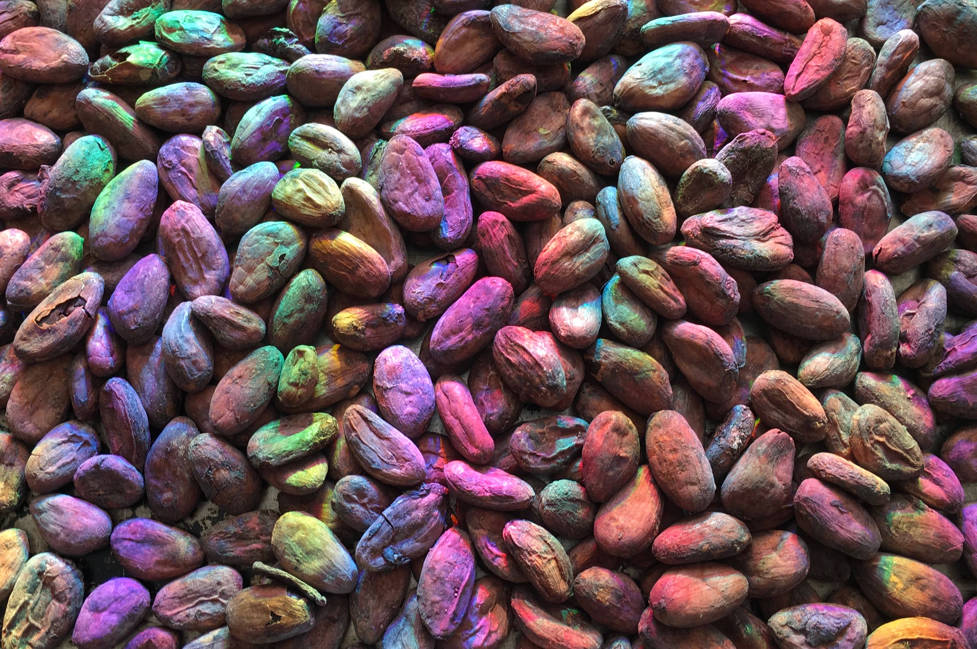 holographic cacao beans