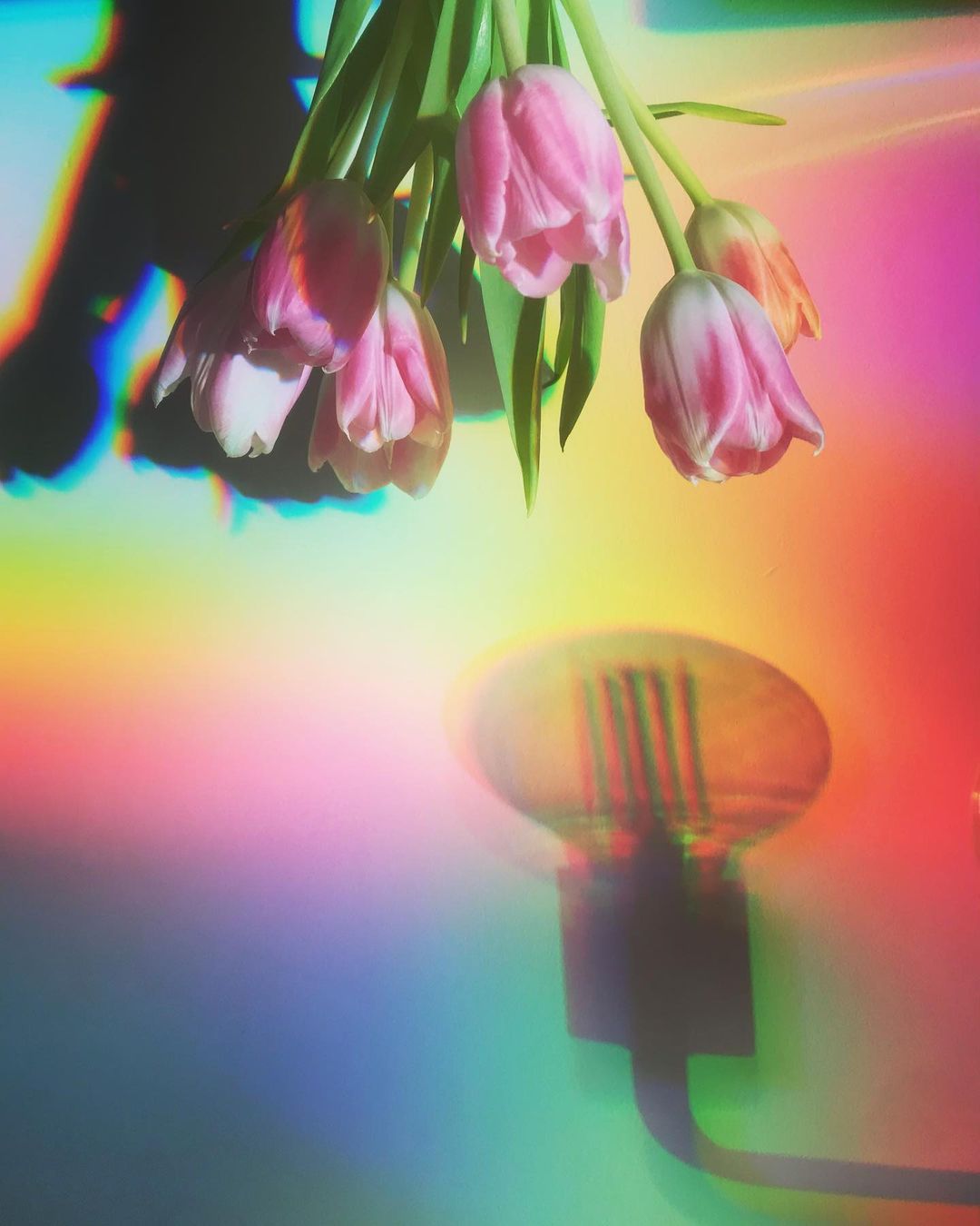 rainbow-light