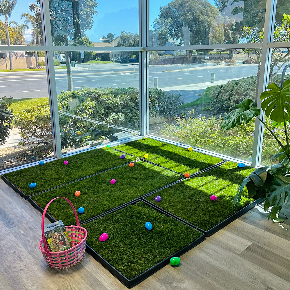 Easter basket with eggs on the floor next to grass potty training pads with eggs laid on top