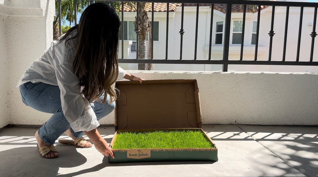 Woman opening lid of a dog potty grass box on patio