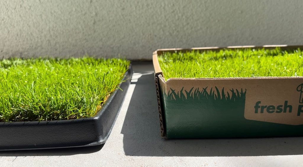 dog potty grass pads on a tray and in a box comparison