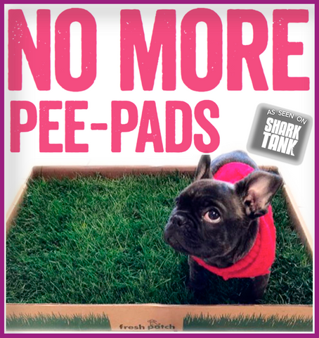 No More Pee Pads
