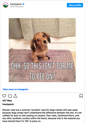 Dog sitting on mat as meme saying "I'm sorry mom, I thought it was a pee-pad"