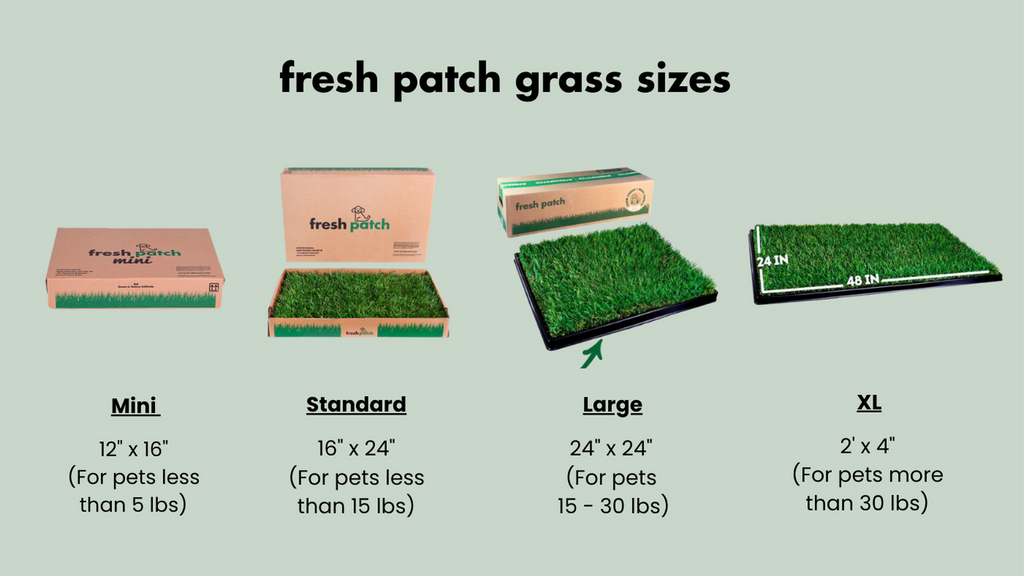 Fresh Patch Real Grass Potty Training Pads Sizes