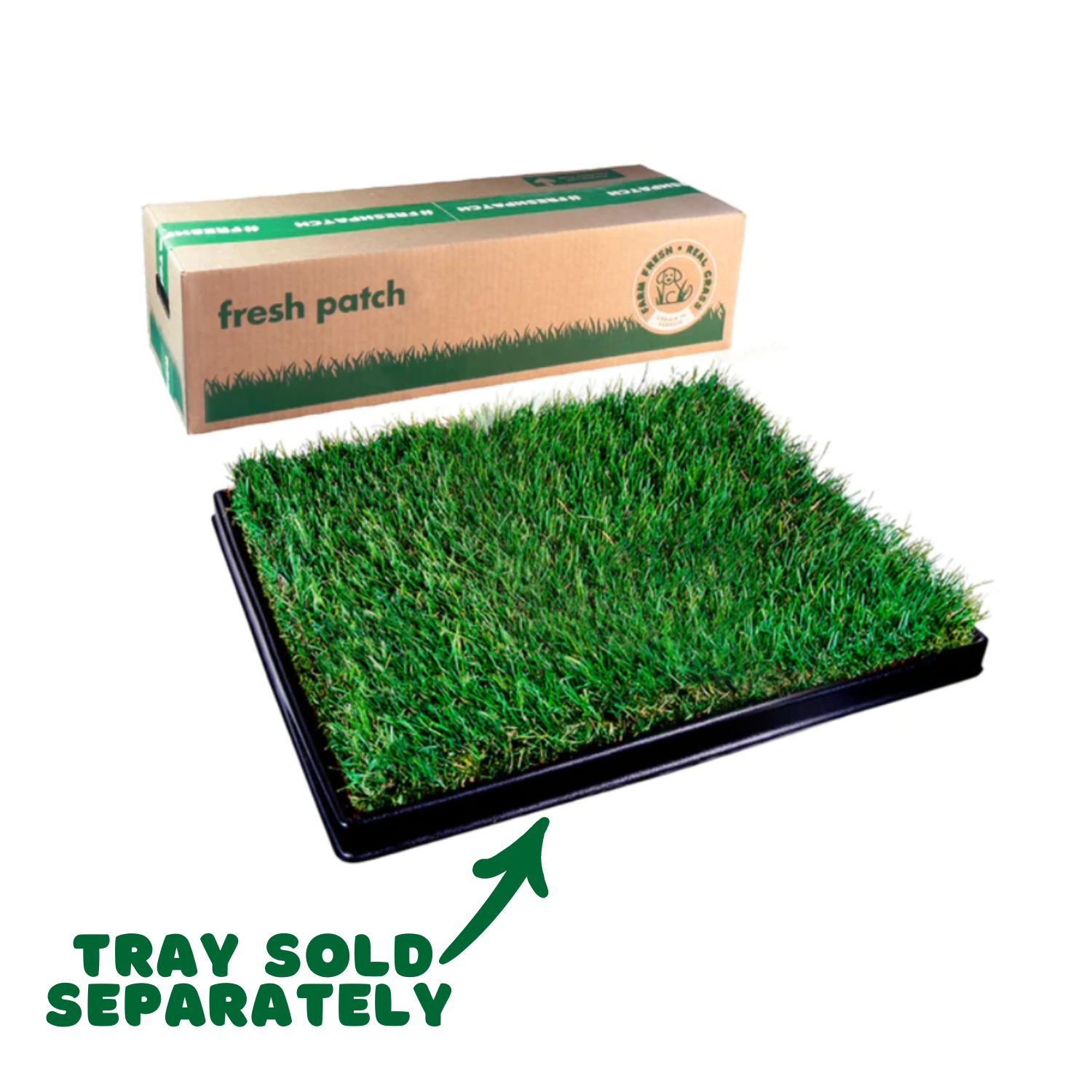 fresh grass patch for dogs