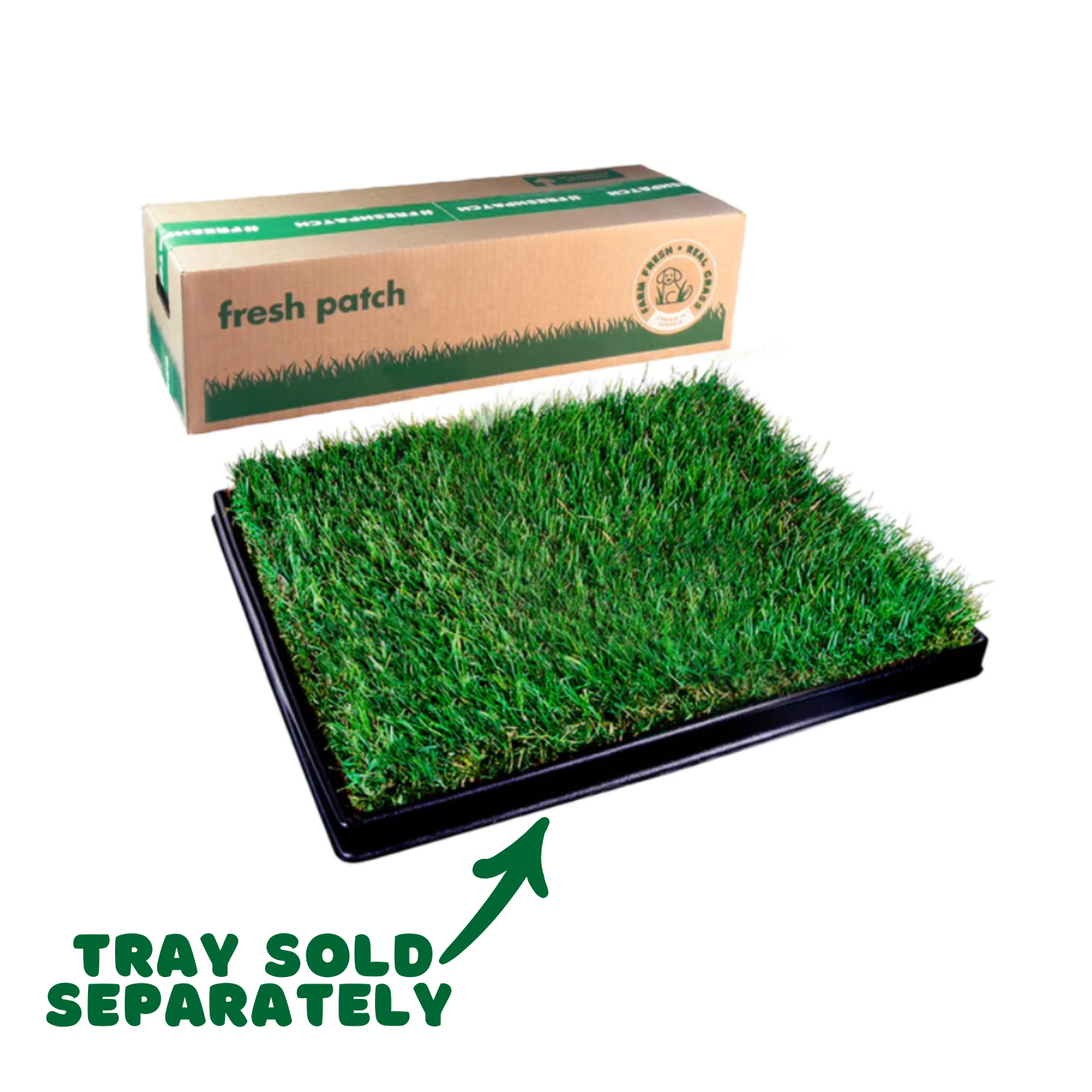 grass patch for dogs