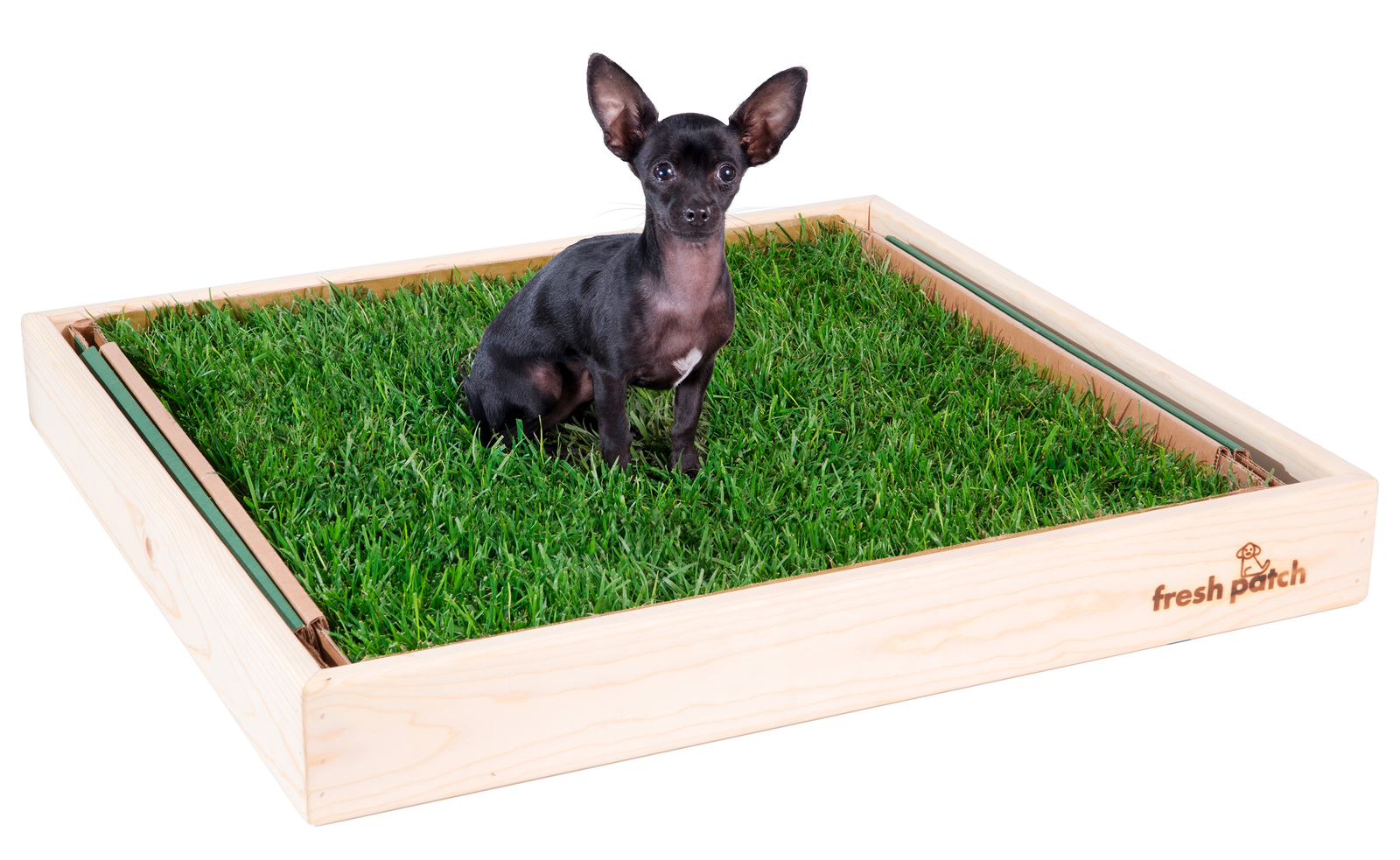 fake grass wee wee pads for dogs
