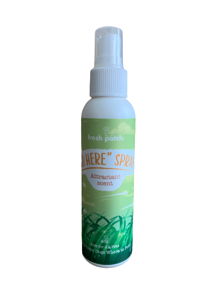 GO HERE Dog Potty Spray