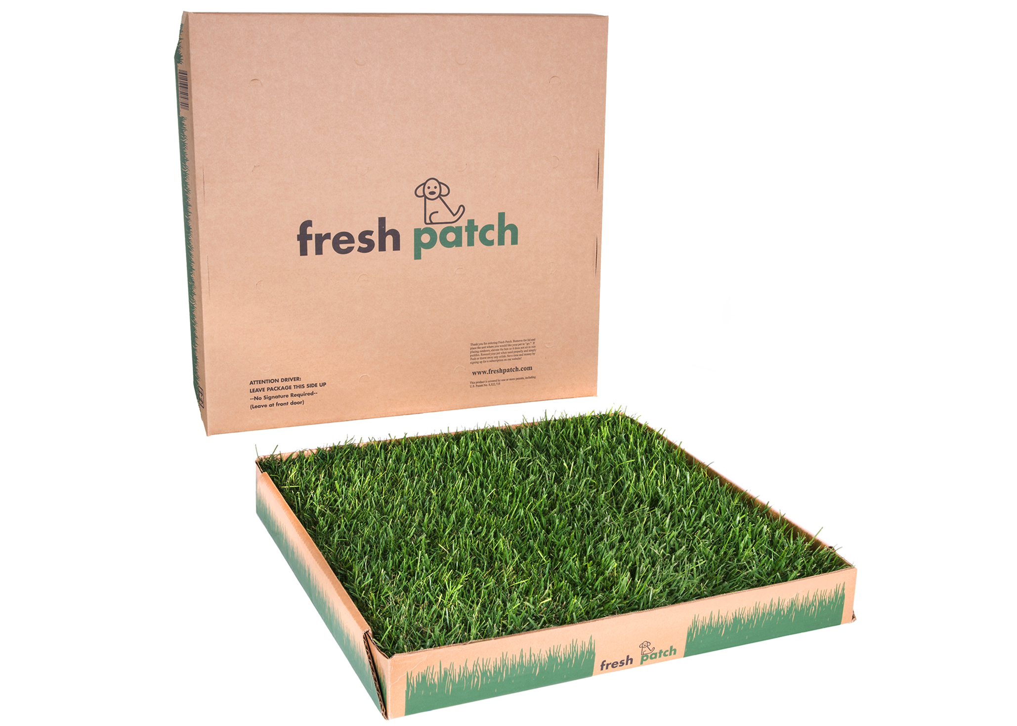 Fresh Patch (Large)