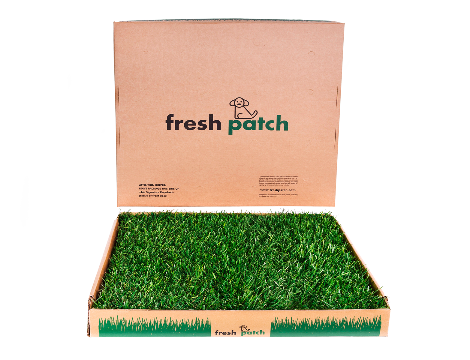 Fresh Patch (Large)