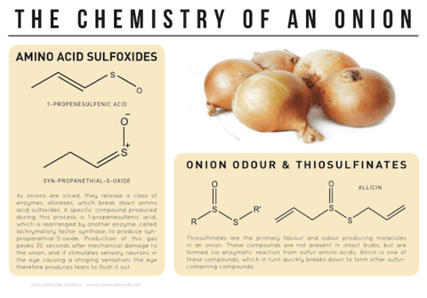 Onion Juice for removing dandruff and hair loss