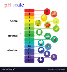 The Alkaline Diet and PH Scale