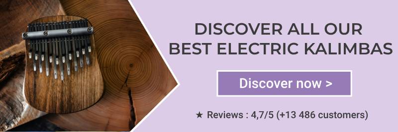 Find a perfect electric kalimba here