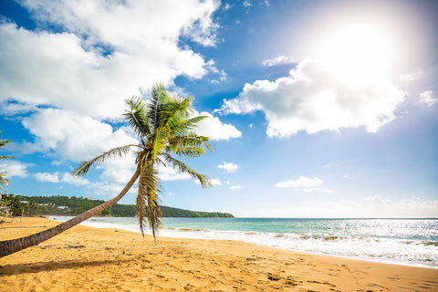 puerto rico beach