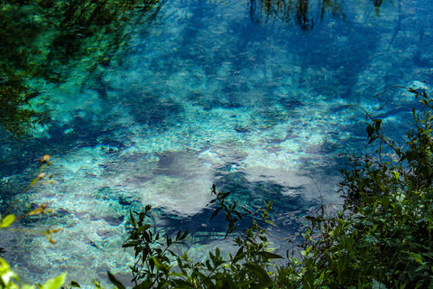 underwater view of clear spring water in Blue Springs State Park Florida