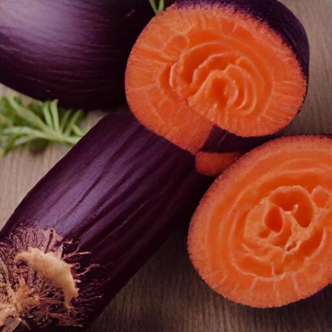 Cosmic Purple Carrots Vegetable Garden Harvest