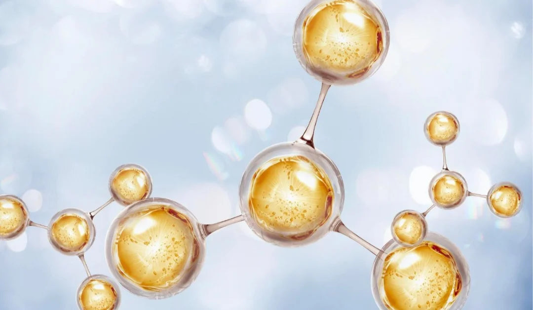 Activit supplement with CoQ10