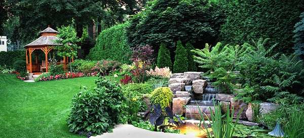 Gardening Tips