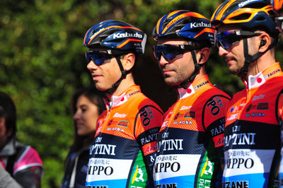 velochampion sunglasses