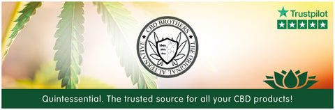 CBD Brothers UK / Cornwall CBD Oils & Pastes Banner