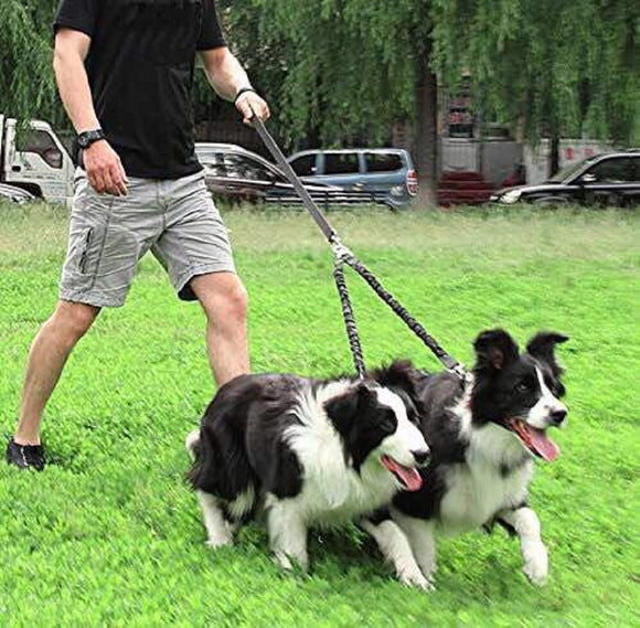 dual dog walking leash