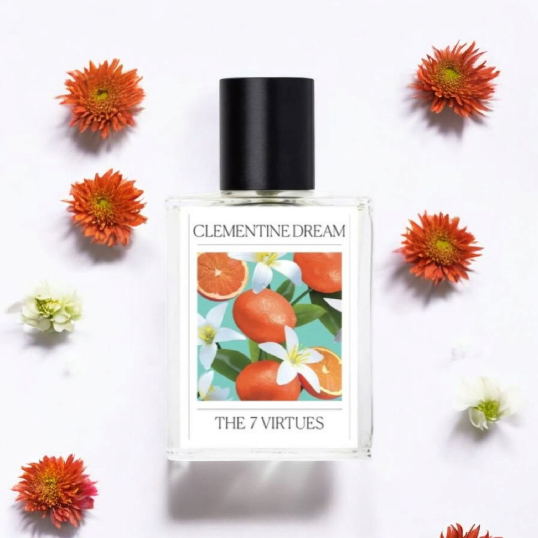 The 7 Virtues - Clementine Dreams