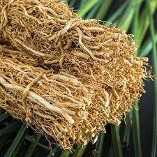 Haitian Vetiver Fragrance Perfumes