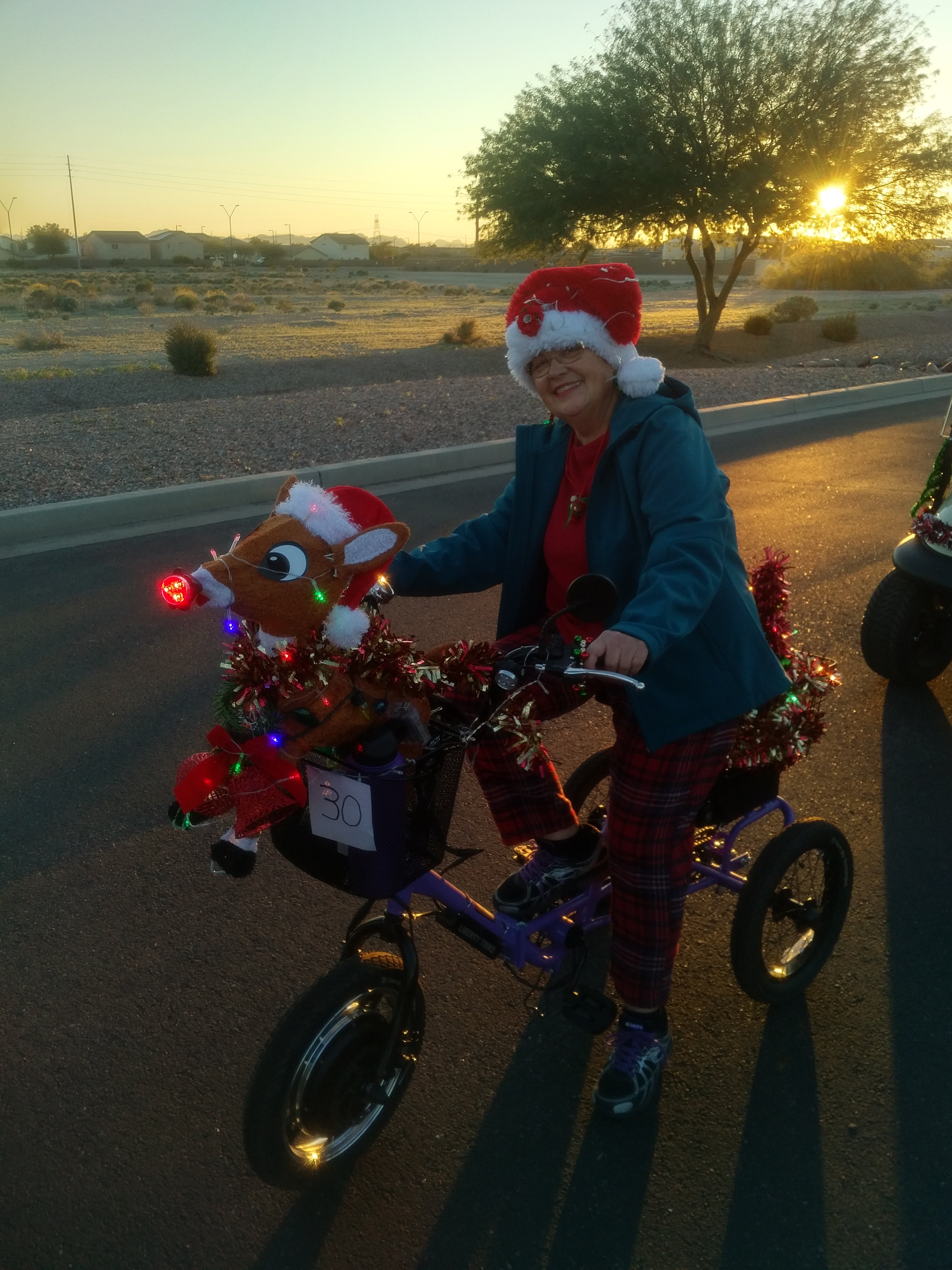 used liberty trike for sale