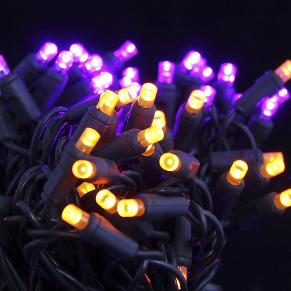 Seasonal Source 5MM50PO F Halloween Lights 5MM LED 