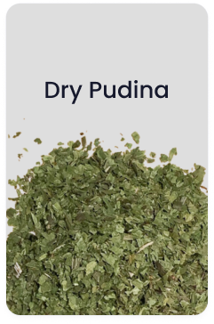 Dry pudina
